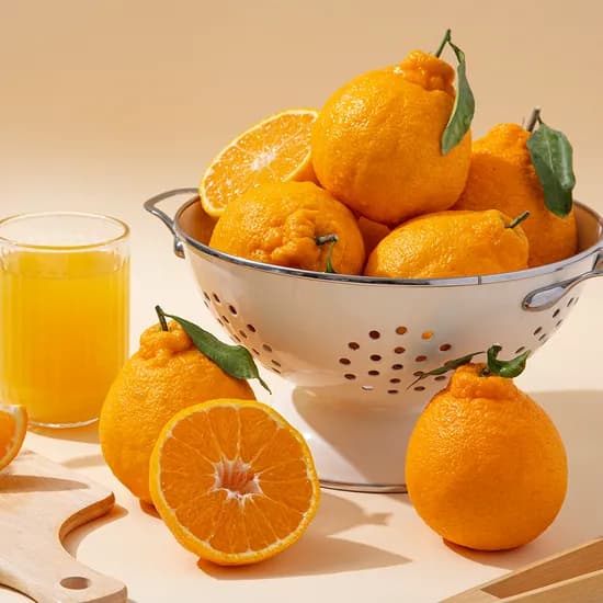 제주 노지 한라봉 혼합과 10kg 22,500원