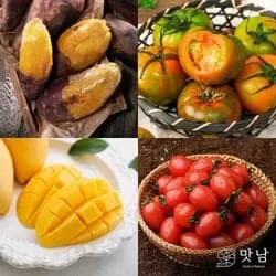 제철과일 대저토마토/망고/키위/카라향 등 9,310원~