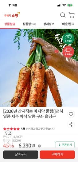 제주 구좌당근 대/왕 5kg 농할쿠폰가 8,060원 초핫딜!!