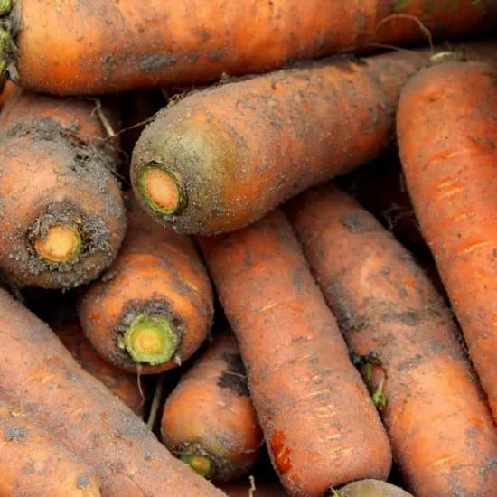 흙당근 특5kg 4984원