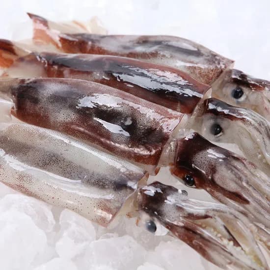 손질 통오징어 260g(2미) x 3팩 총 6미 18,900원 무배