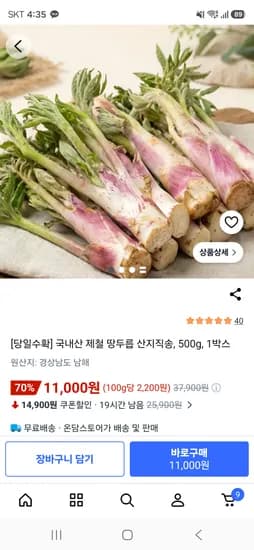 국내산 제철 땅두릅 500g 1박스 11,000원