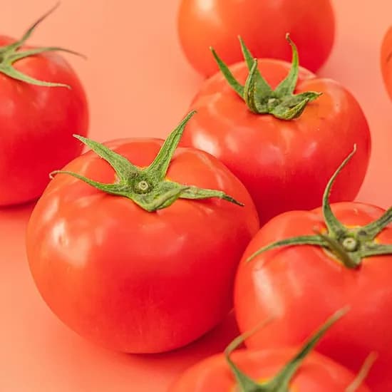 완숙 토마토 2kg 제철 실속 혼합과 6930원 무배