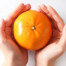 고당도 천혜향 2kg+2kg 총4kg 가정용 11,000원