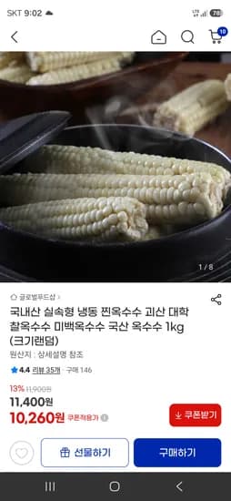괴산 찰 옥수수 1kg 10,260원 무배