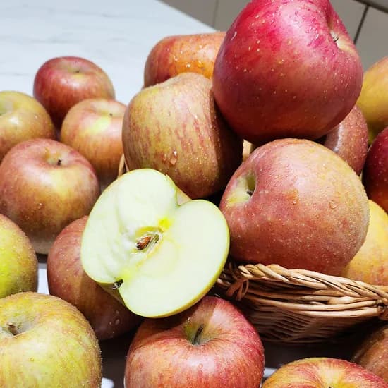 경북 가정용 꿀부사 사과 7kg 중소과 20,450원