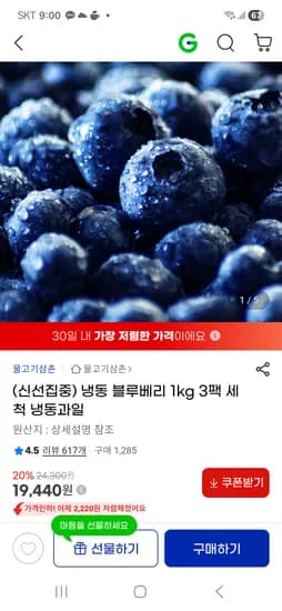 냉동 블루베리 1kg 3팩 19,440원