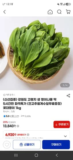 강원도 고랭지 생 명이나물 1KG 13,840원 무배