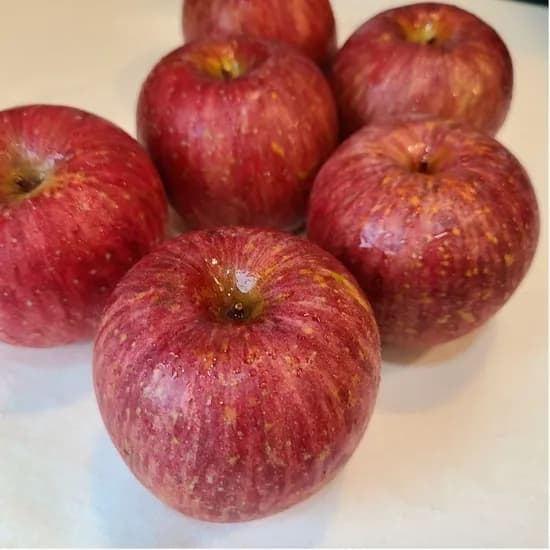 경북 영주 사과 가정용 3kg 중과 14,940원