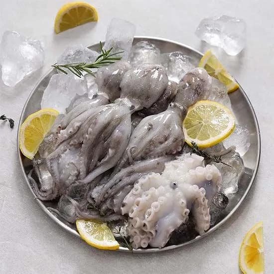 제철 활 쭈꾸미 1kg 10~16미 37,550원