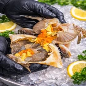 암꽃게 1kg 4~6미 알배기 19,990원