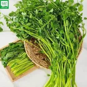 노안농협 논미나리 1kg (200g*5팩) 8,990원