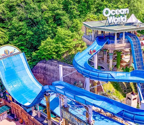 오션월드 홍천 오션월드/오션플레이 5개 지점 택1 45% 할인 30,000원