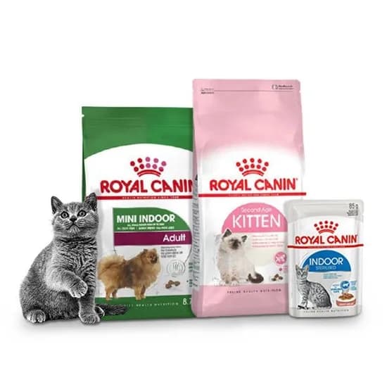 로얄캐닌 고양이사료 피트 4kg 47,080원