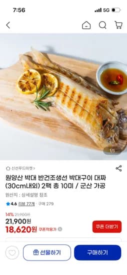 군산 박대 대 10미