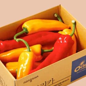 트리벨리 파프리카 1.2kg 9,900원