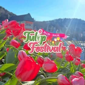 에버랜드 오후 이용권 타임딜 32,560원