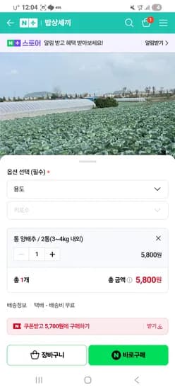 국내산 양배추 4kg 내외 5,800원 무배