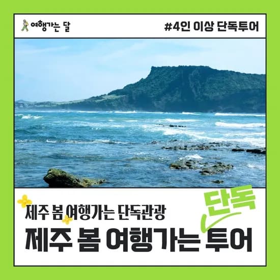 제주 봄 여행가는 단독투어 (2박3일) 1인기준 154,600원