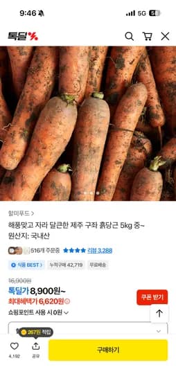 제주 구좌 흙당근 5kg 6620원 무배