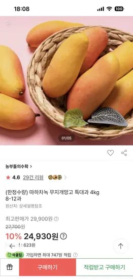 마하차녹 무지개망고 특대과 4kg 8-12과