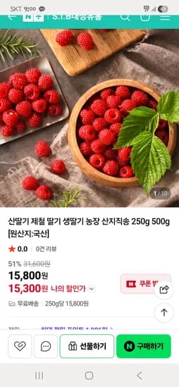 대성유통 산딸기 500g 2팩