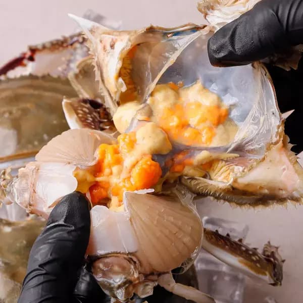 서해 활 알배기 암꽃게 1kg 4-6미 19900원