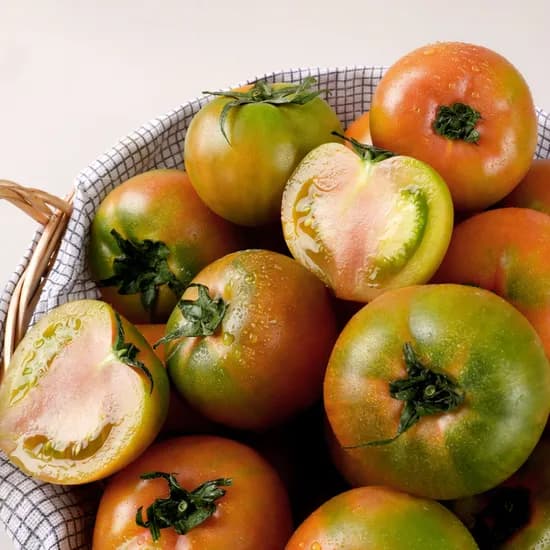 부산 대저동 대저토마토 2.5kg 10,900원무배