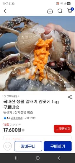 국내산 생물 알배기 암꽃게 1kg		17,600원 무배
