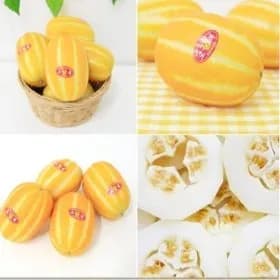 성주꿀참외 가정용 4.5kg 랜덤과 14,990원