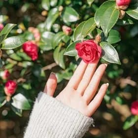 제주 카멜리아힐 소인 유클 5,780원