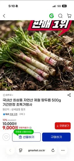 국내산 자연산 제철 땅두릅 500g