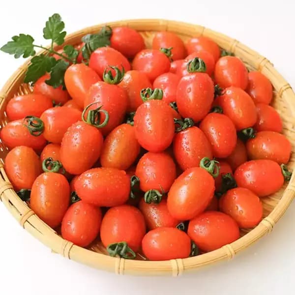 국내산 대추방울토마토 2kg 3-4번 소과 9,170원