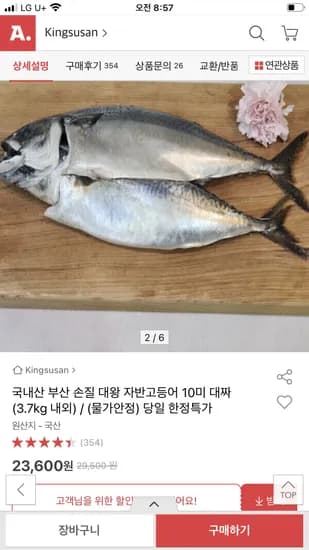 국내산 부산 손질 대왕 자반고등어 10미 대짜 3.7kg 내외 23,600원