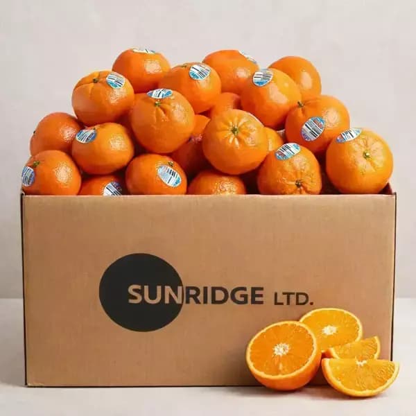 4시간 타임딜 탱고품종 만다린 2kg 카카오페이/우리카드 10,900원 무배