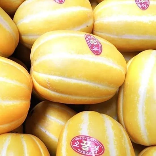 성주참외 5kg 22,860원