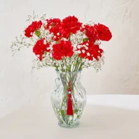 특상급 카네이션 생화 어버이날 생화 7,960원