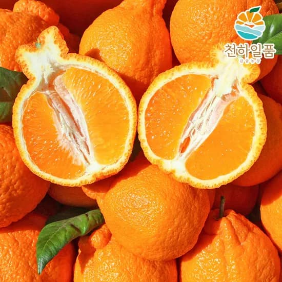 제주 한라봉 4kg 7,900원