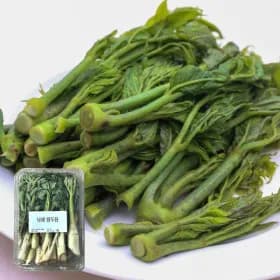 땅두릅 500g 7,510원