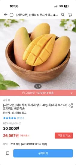 마하차녹 무지개 망고 4kg 특대과 8-12과 26,967원