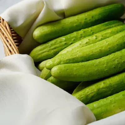 덕산농협 백다다기 오이 4kg 내외(20개) 7800원 무배