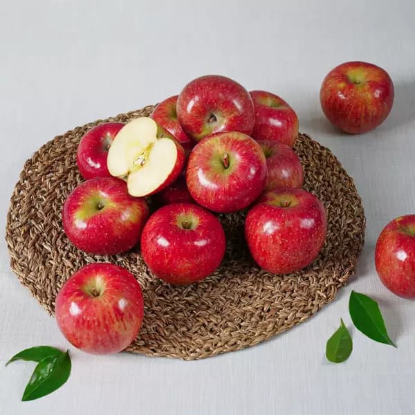 가정용 부사사과 4kg 중소과 12,560원 무배