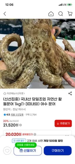 여수 자연산 활 돌문어 1kg(1-3미내외) 21,520원