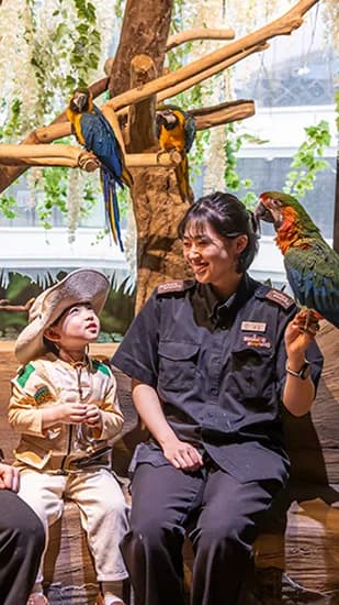 주렁주렁 입장권 12800원~