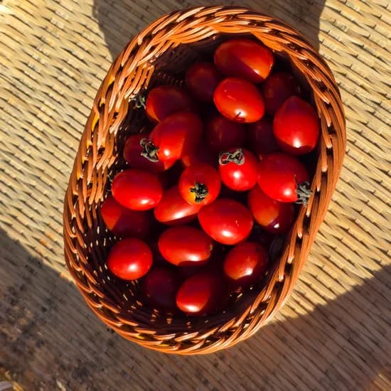 대추 방울 토마토 2kg
