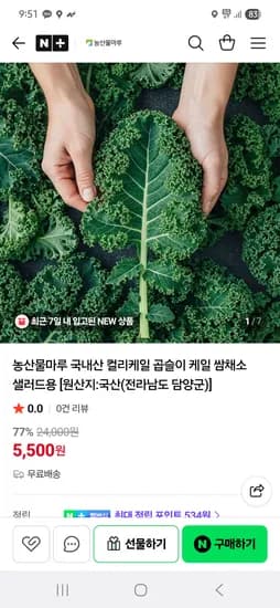 국내산 컬리케일 쌈채소 샐러드용 500g