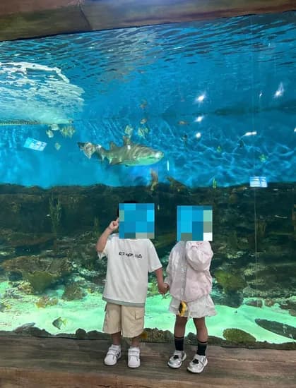 네파 키즈 여름상하복 3종 택1