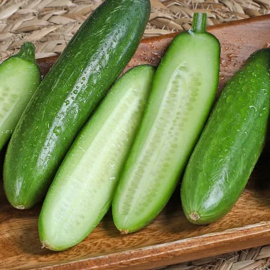 국내산 미니오이 2kg 15700원 무료배송