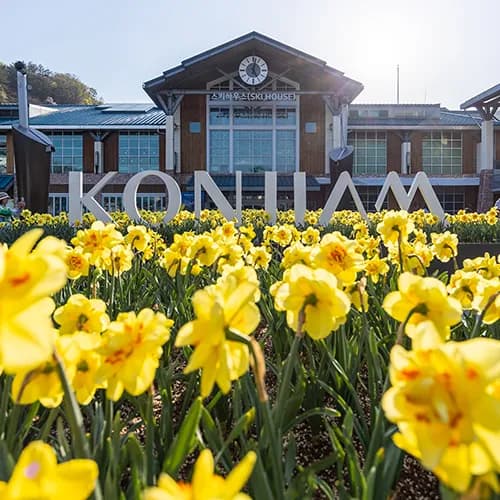 곤지암 리조트 화담숲&화담채 2/3인 154,850원 외 다양