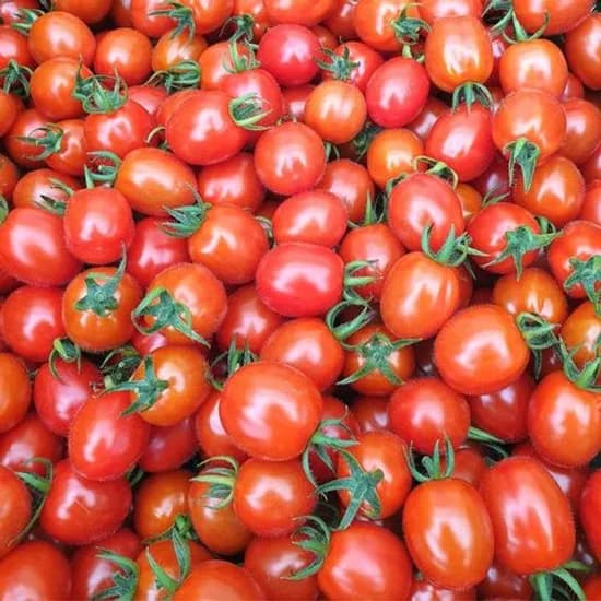 충남 부여 대추방울토마토 2kg